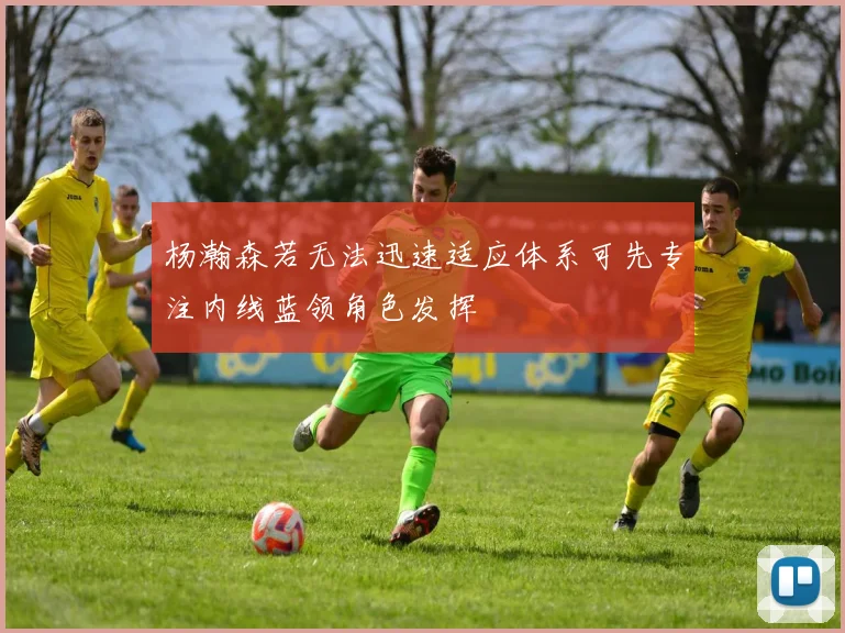 杨瀚森若无法迅速适应体系可先专注内线蓝领角色发挥